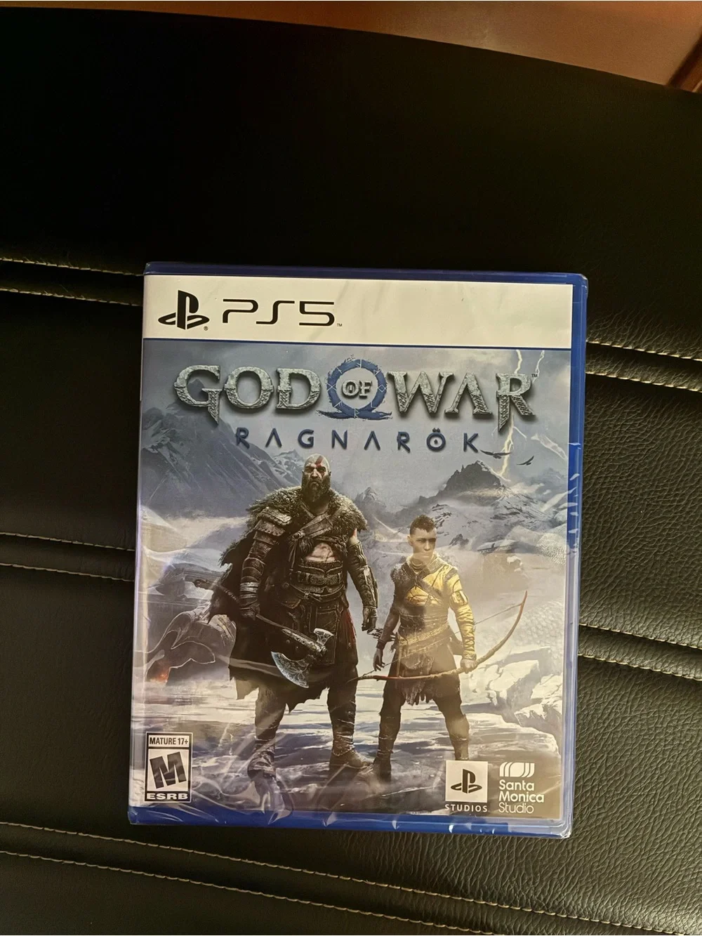 Sony PS5 God of War Ragnarök in Blue Case with Mountain Cover Art